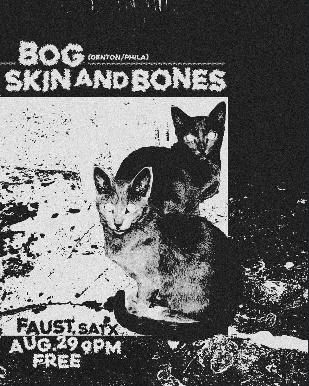 Bog coming to San Antonio, Texas