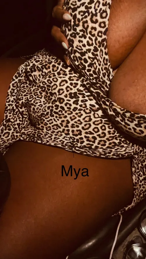 Just a little car fun last night