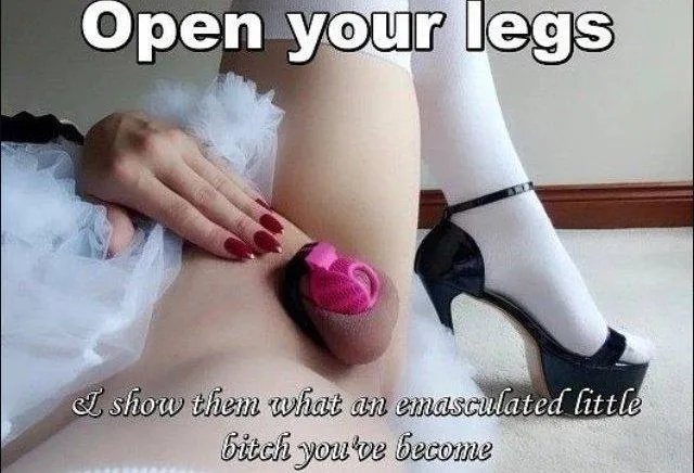 Let Everyone See What You Are Sissy