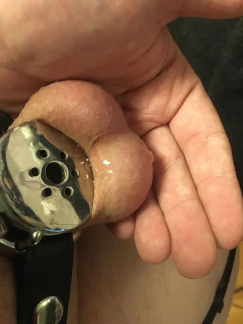 Oops, I played with my ass too much. Now I’m leaking through my inverted cage ;)