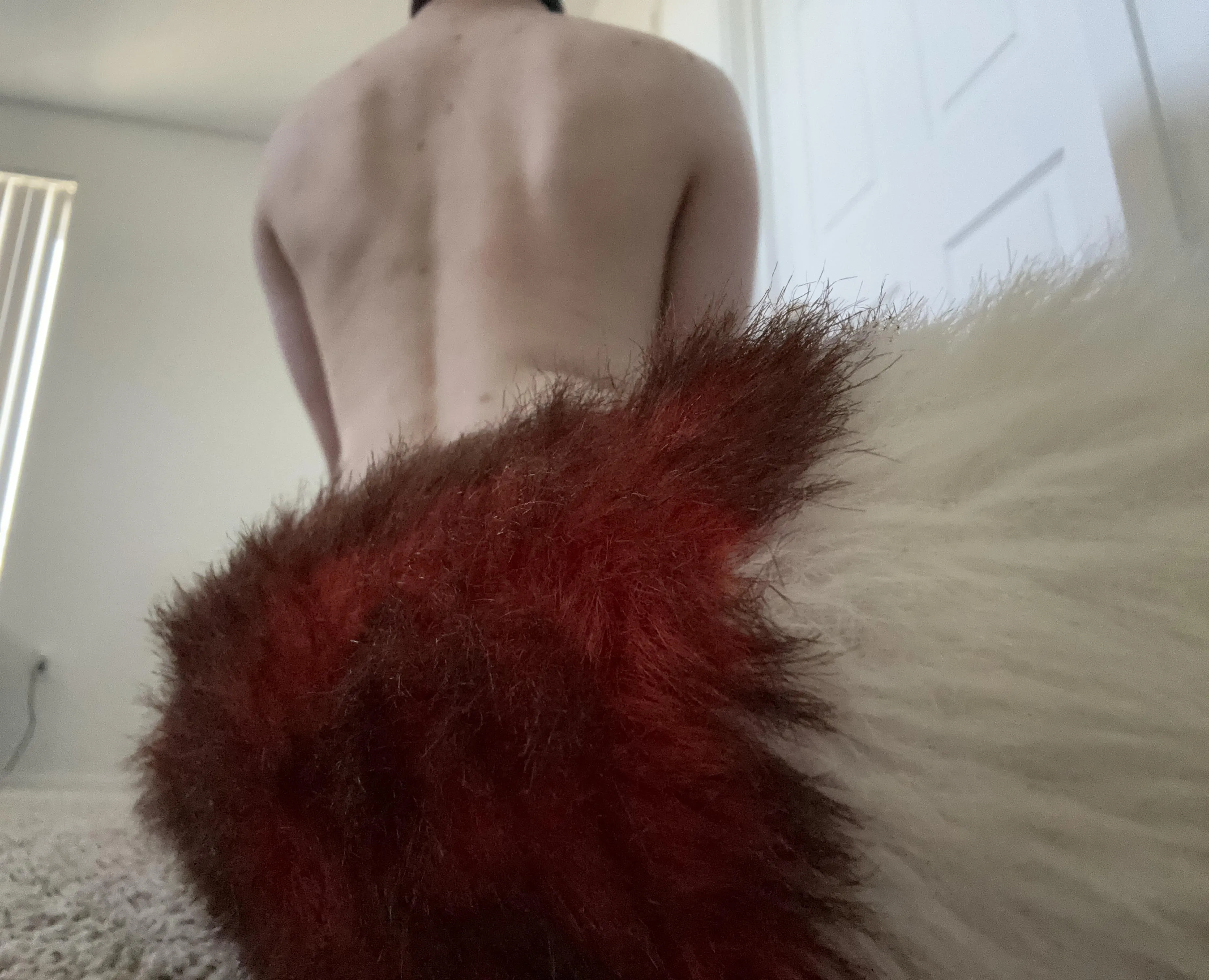 Putting my tail in your face