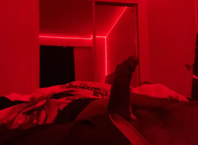 Rate? 30 Dominican NYC