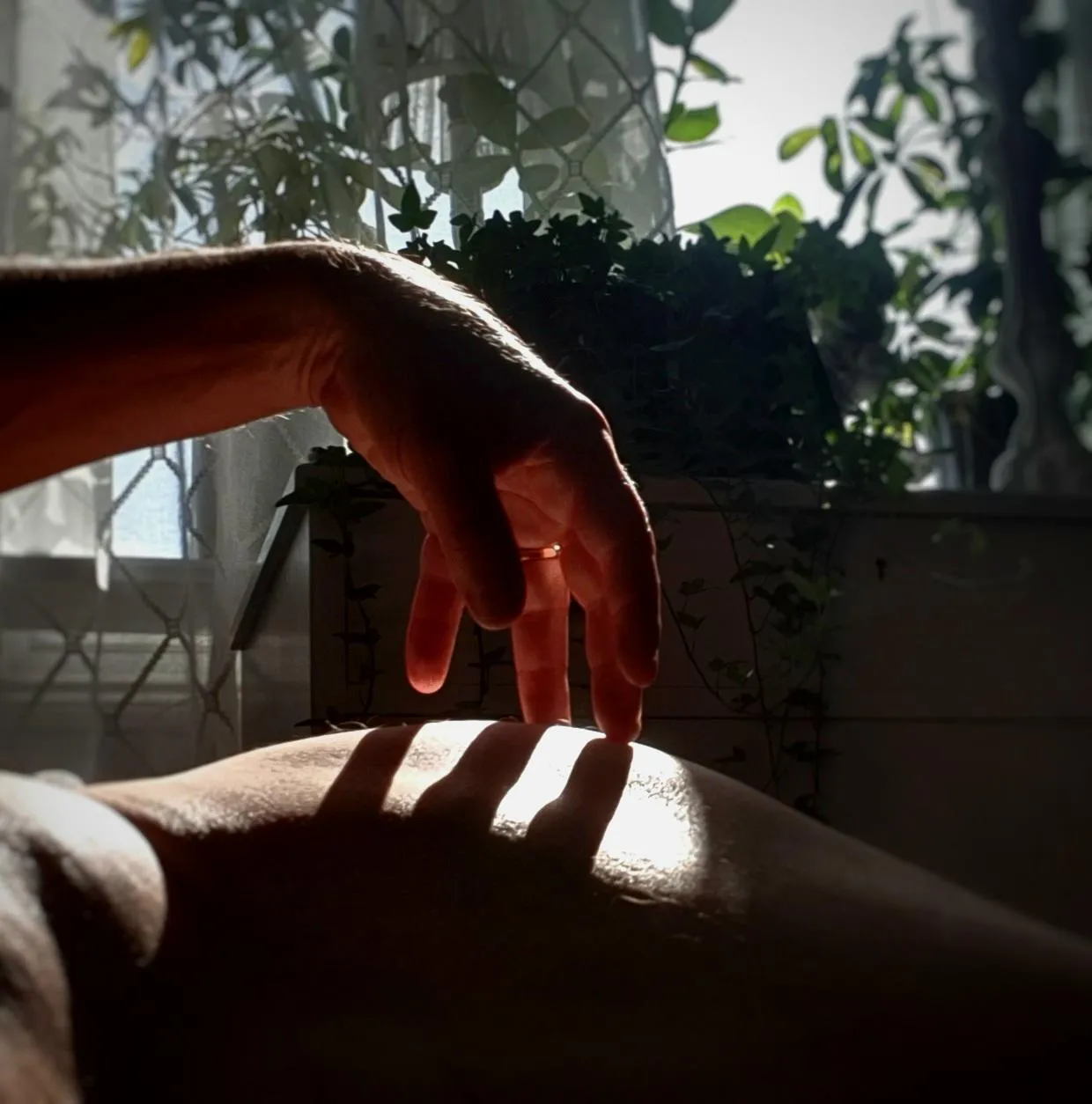 Good [M]orning sunshine 😉 SAP#264