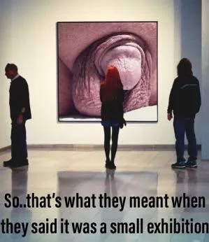 My dick was used in a gallery