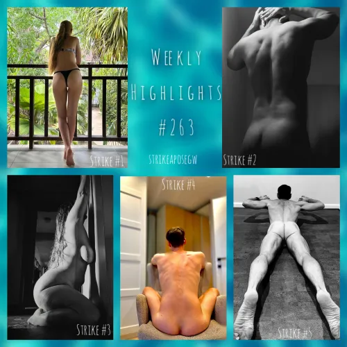 Weekly Highlights #263