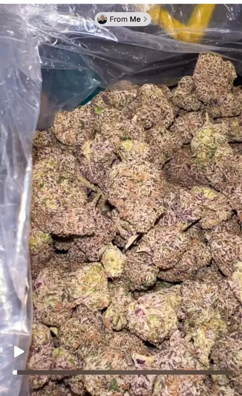 Who’s down for a little bit of fun