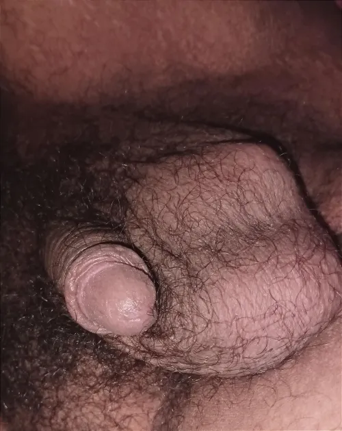 Anyone wanna compare?