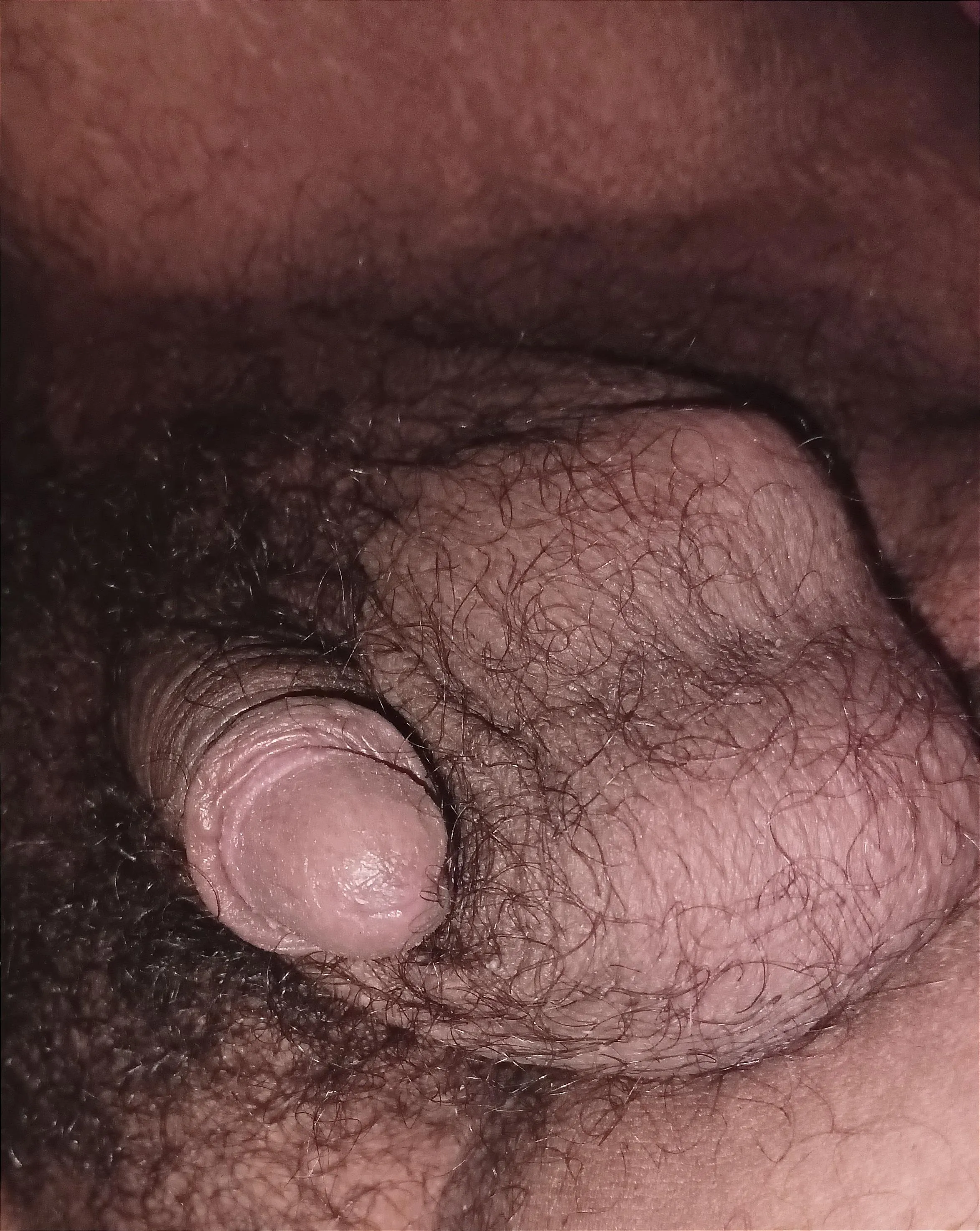 Anyone wanna compare?