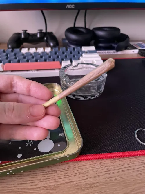 Fininho da tarde de Ice + Flor