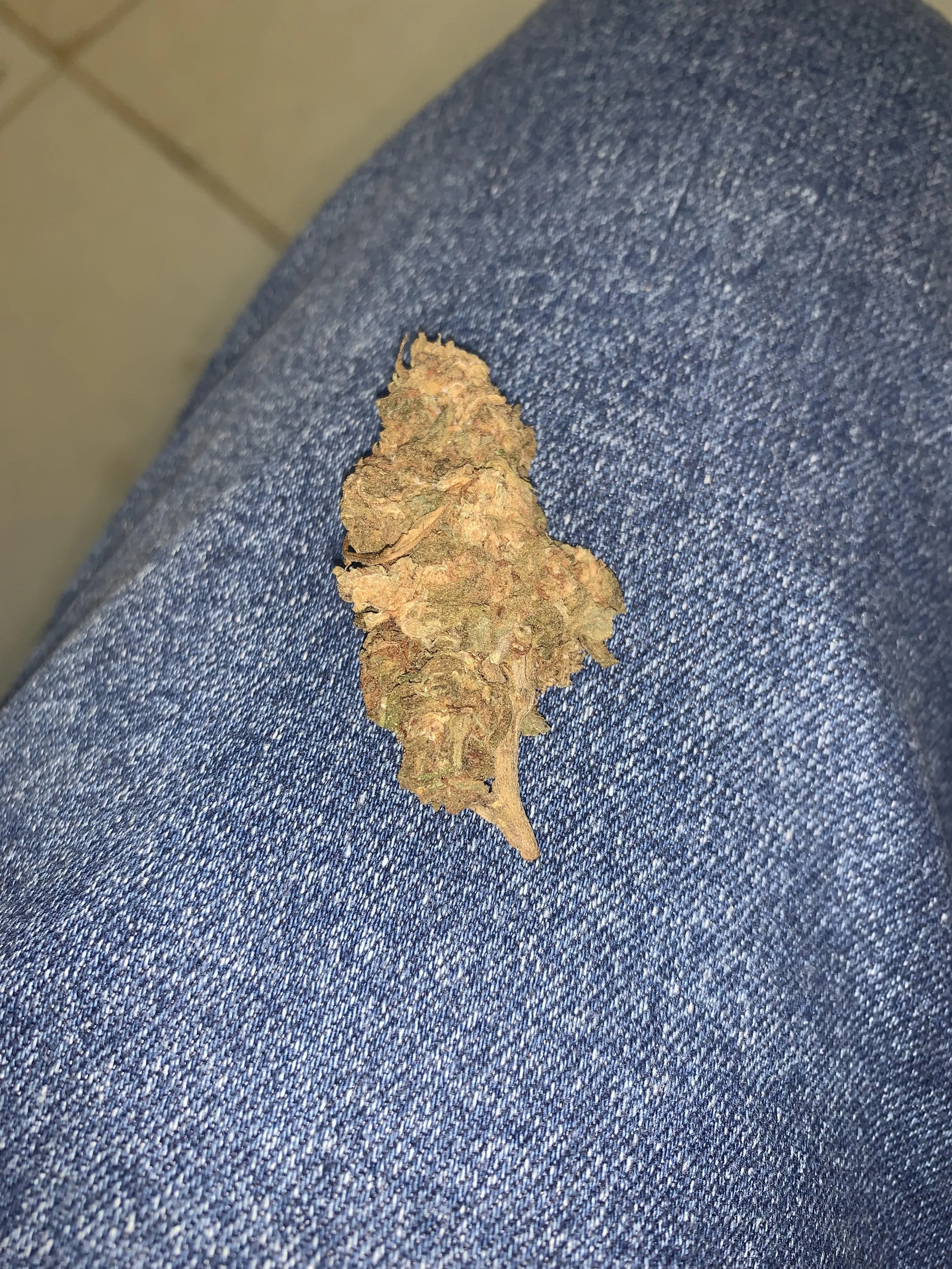 Peguei essa bud hoje, aparência tá boa?