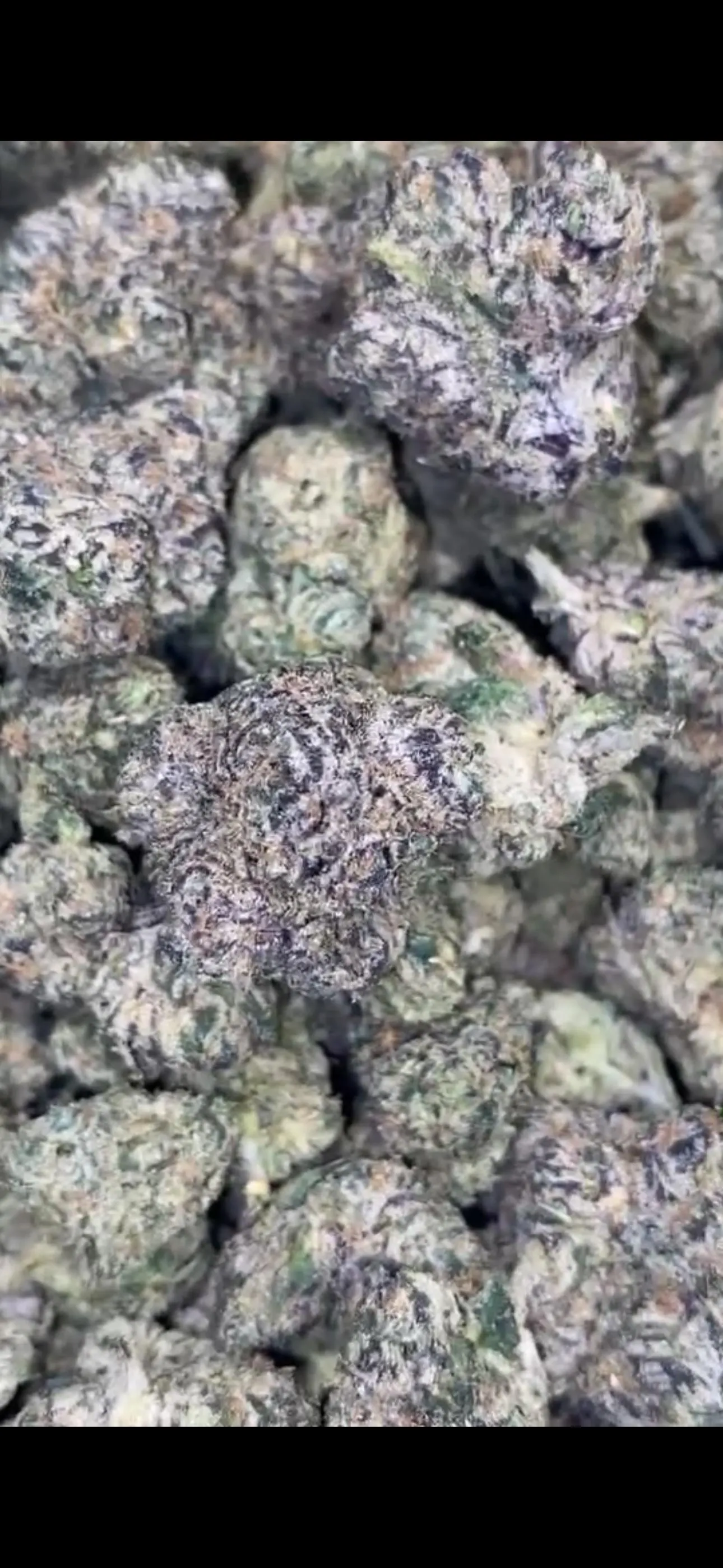 Real Zaza Send me a Dm 🤞🏽 I’m all over the valley 💯 low 🎟️🎟️