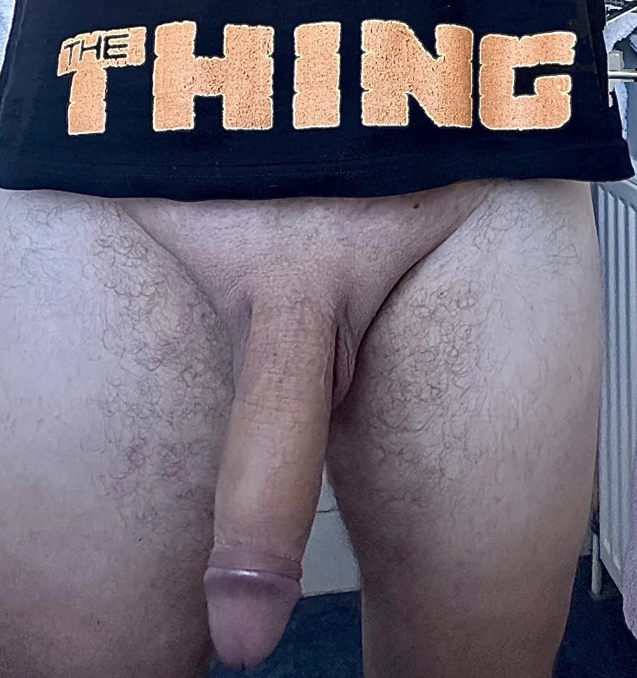 To celebrate the release of the new fantastic four movie I thought I’d show you my thing