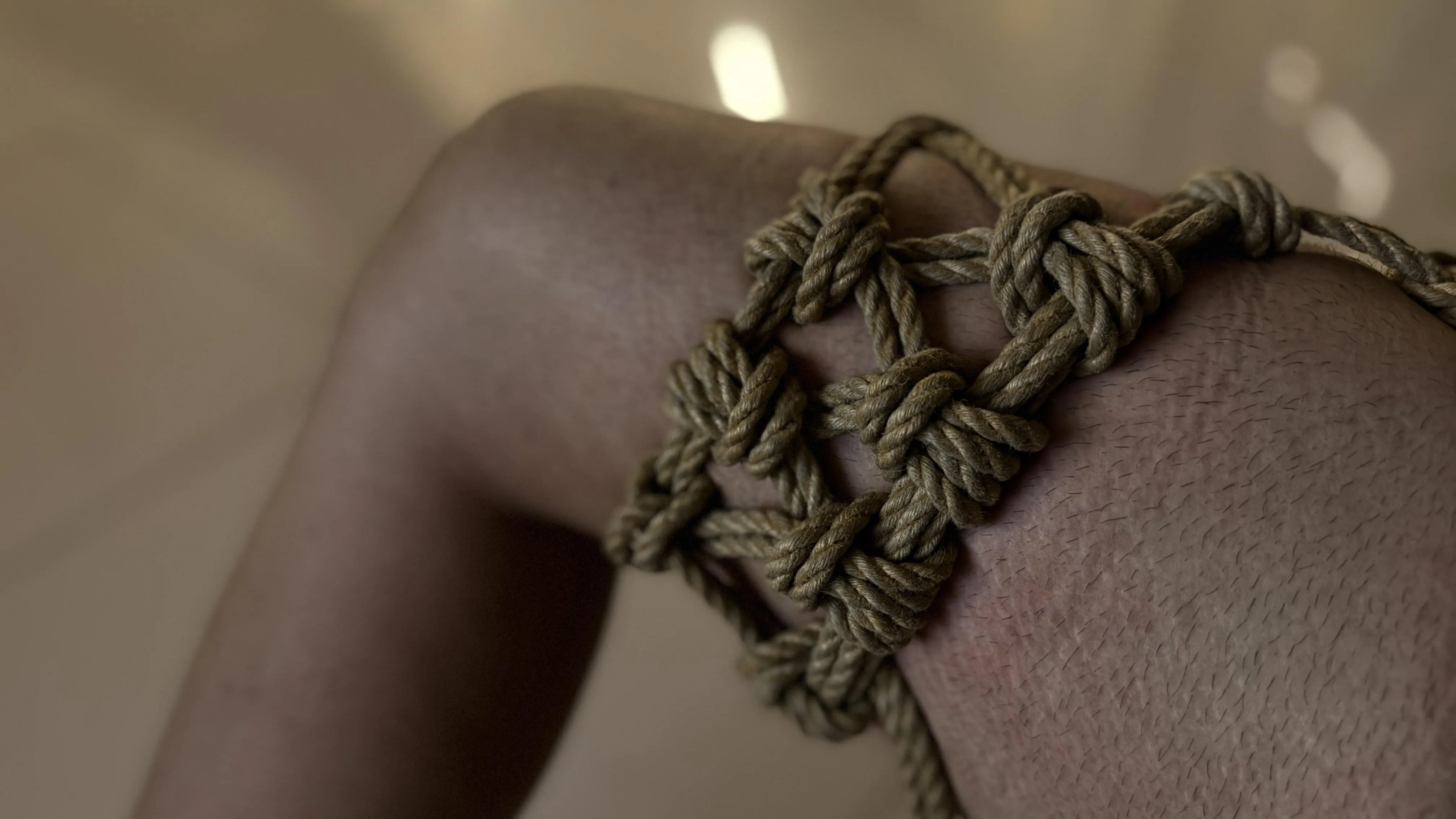 trying knots sequence