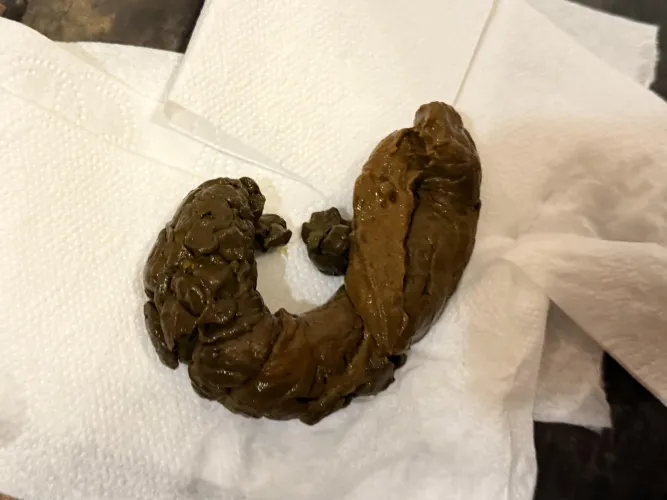 I need to feed someone