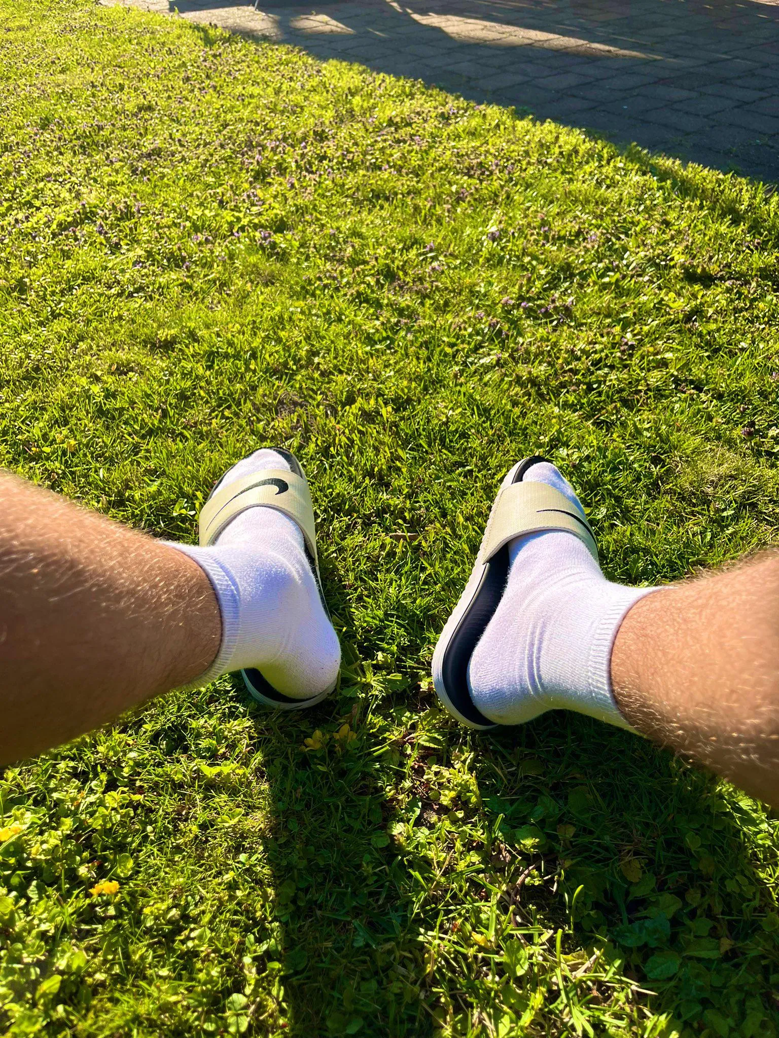 Relaxing on the Grass