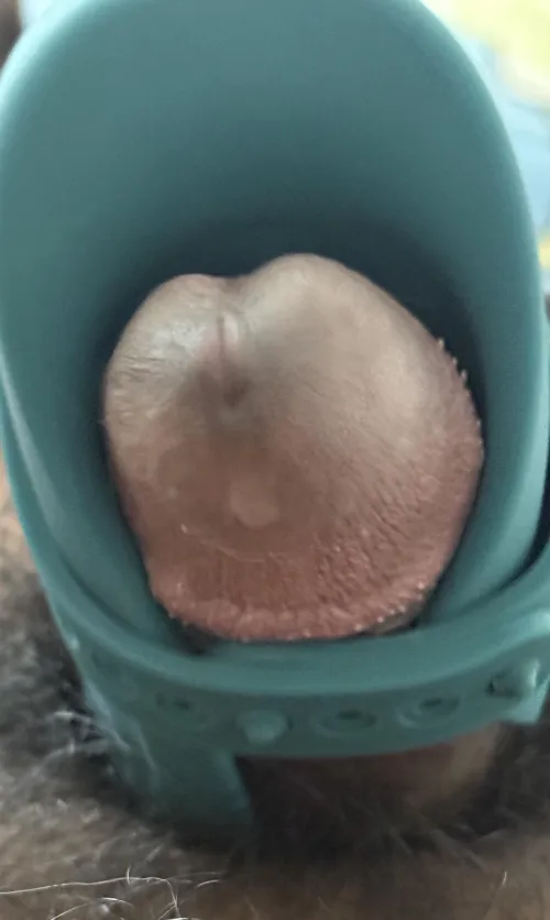 [Lovense gush 2] One of my new favorites