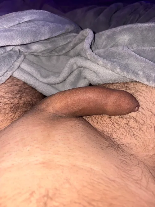 shaved after a while