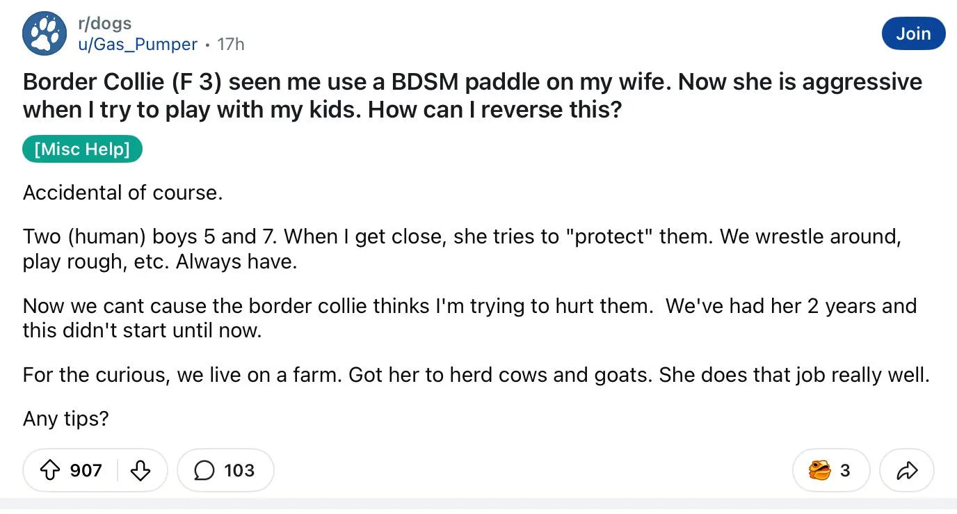 Family dog reacts to witnessing sexualized battery