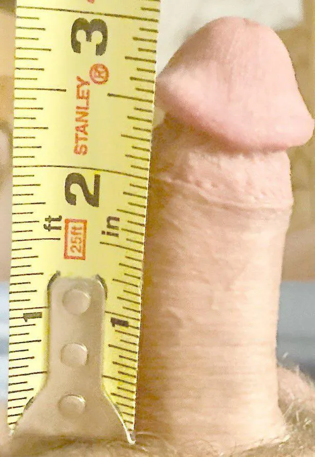 My tiny dick. I am three inches hard and an inch soft. Feel free to comment and direct message.