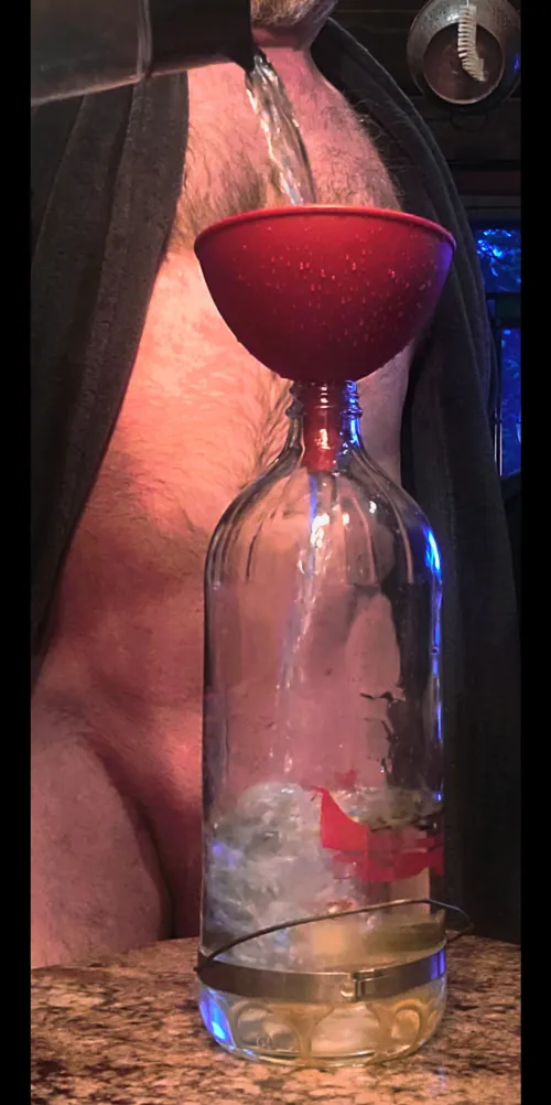 This [wpc] is for the birds.