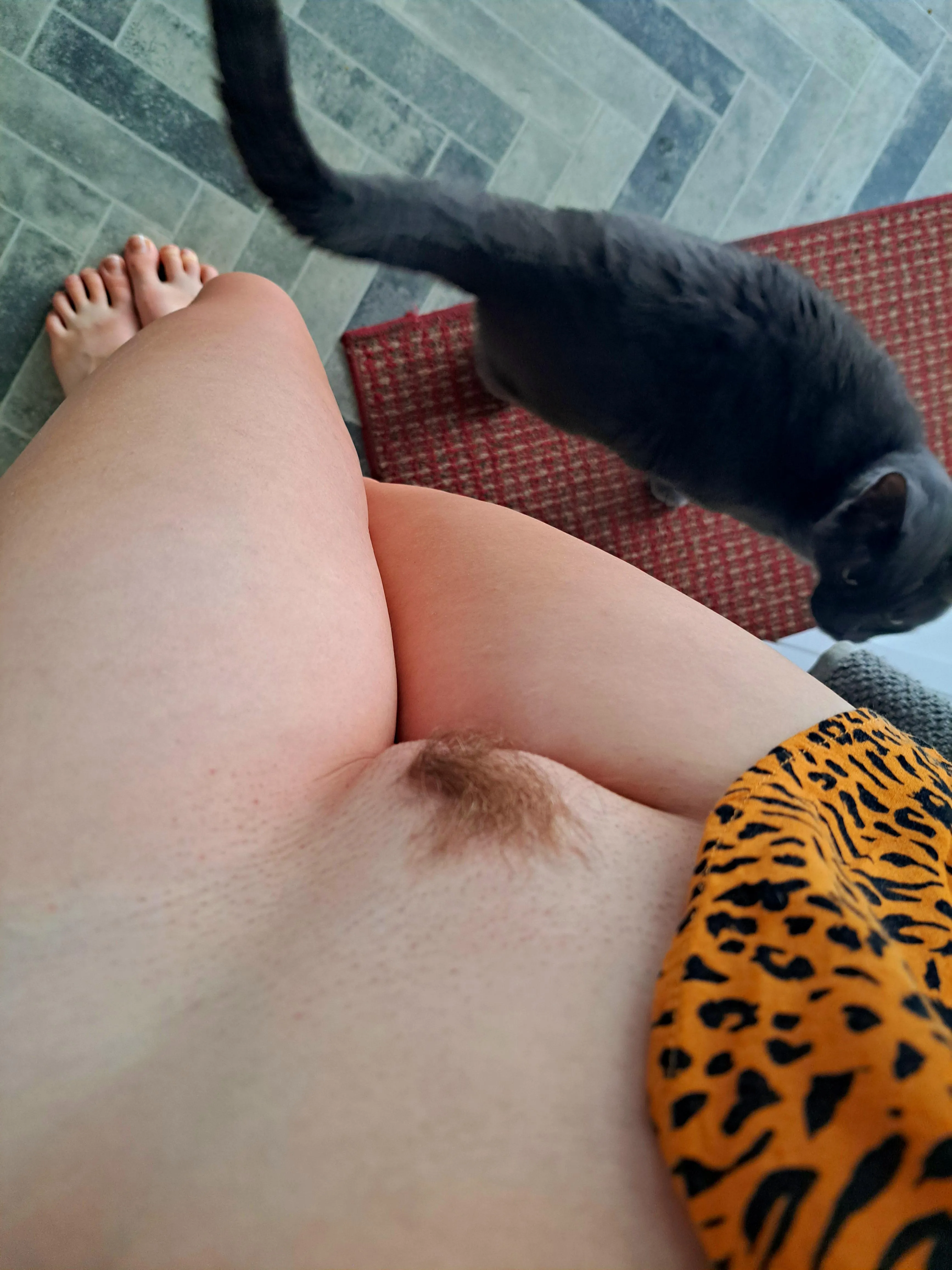 2 kitties in one shot!