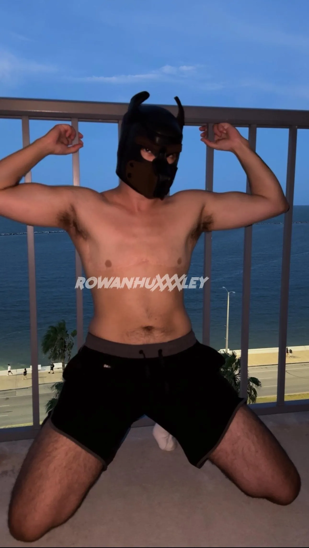 B A R K 🐶 I’m your good boy