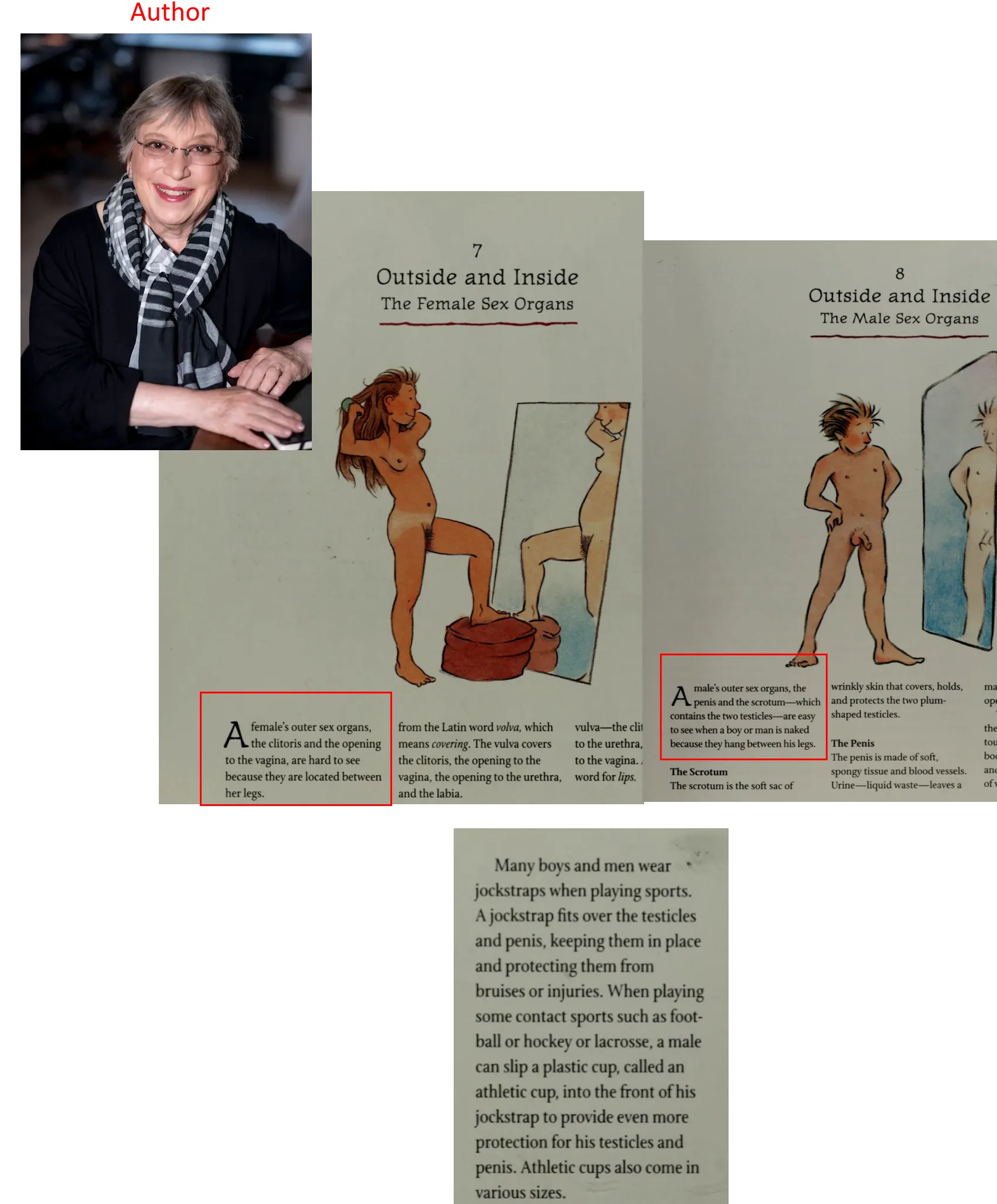 Book for teens by female author reminding them their testicles need protection