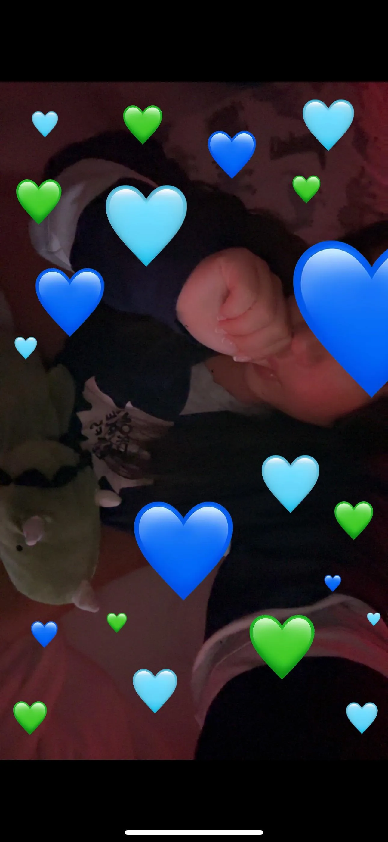 i love my dino stuffy