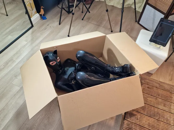 I want 24 hour shipping next time! (and breathing holes)