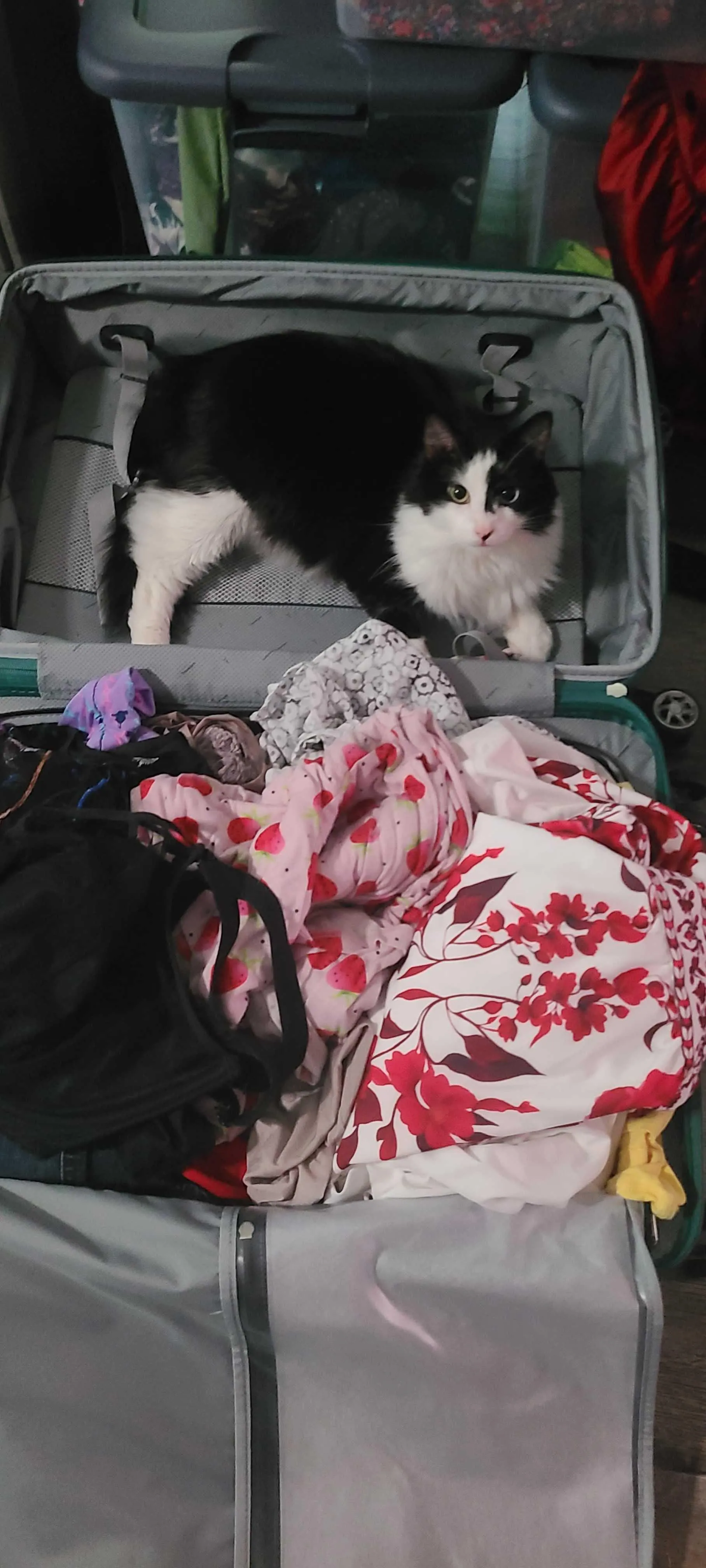 I'm going on vacation for a week. Please don't burn down any subreddits while I'm gone. I have lots of fun things planned for you when I get back! ;)