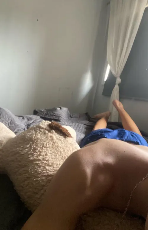 Making a plush humping telegram gc dm me if u wanna join