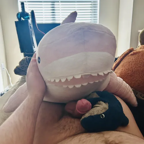 Morning shark sex 💖