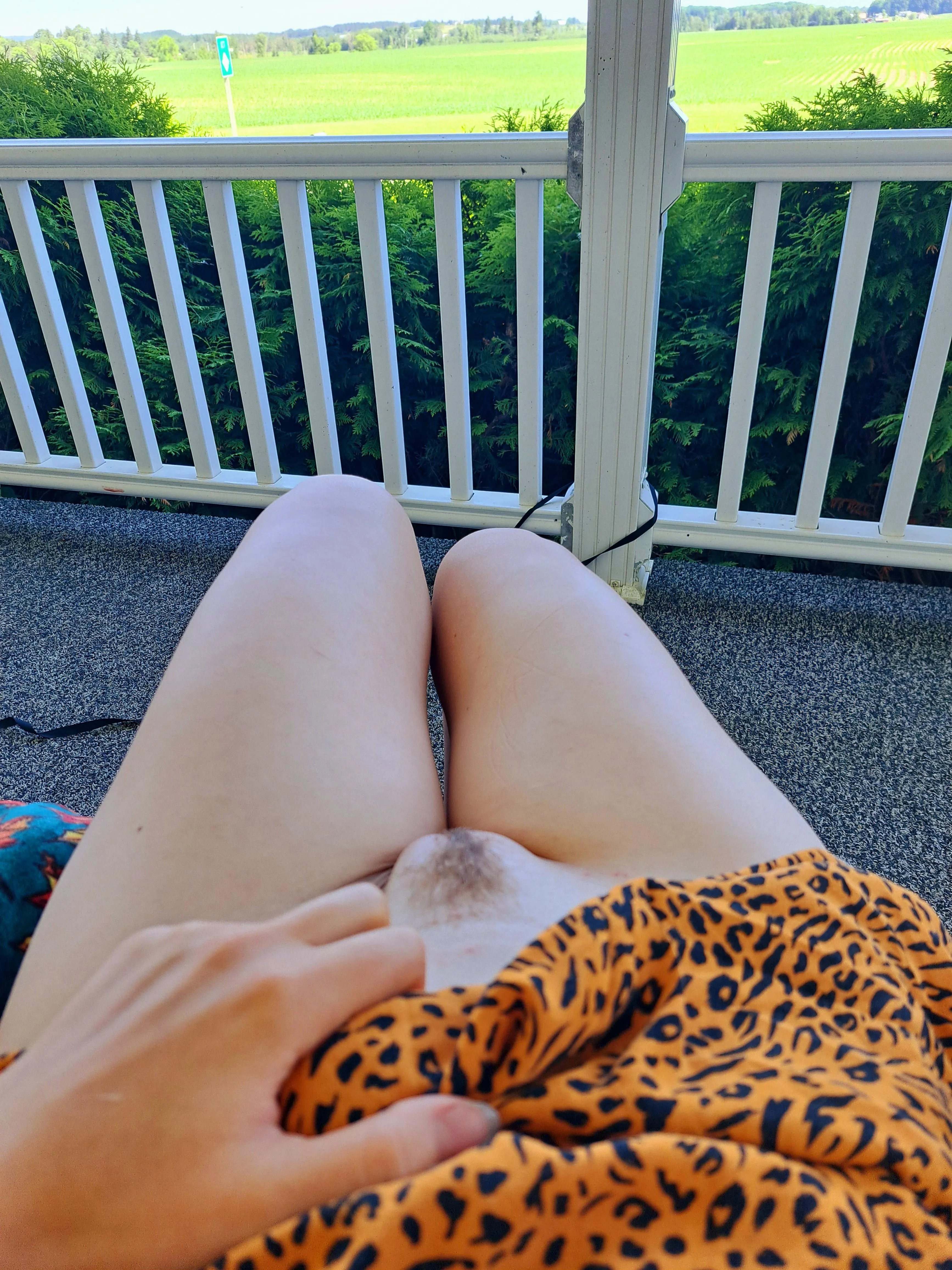 My mound says hi from the porch