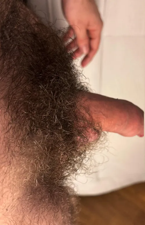 Natural soft hairy cock