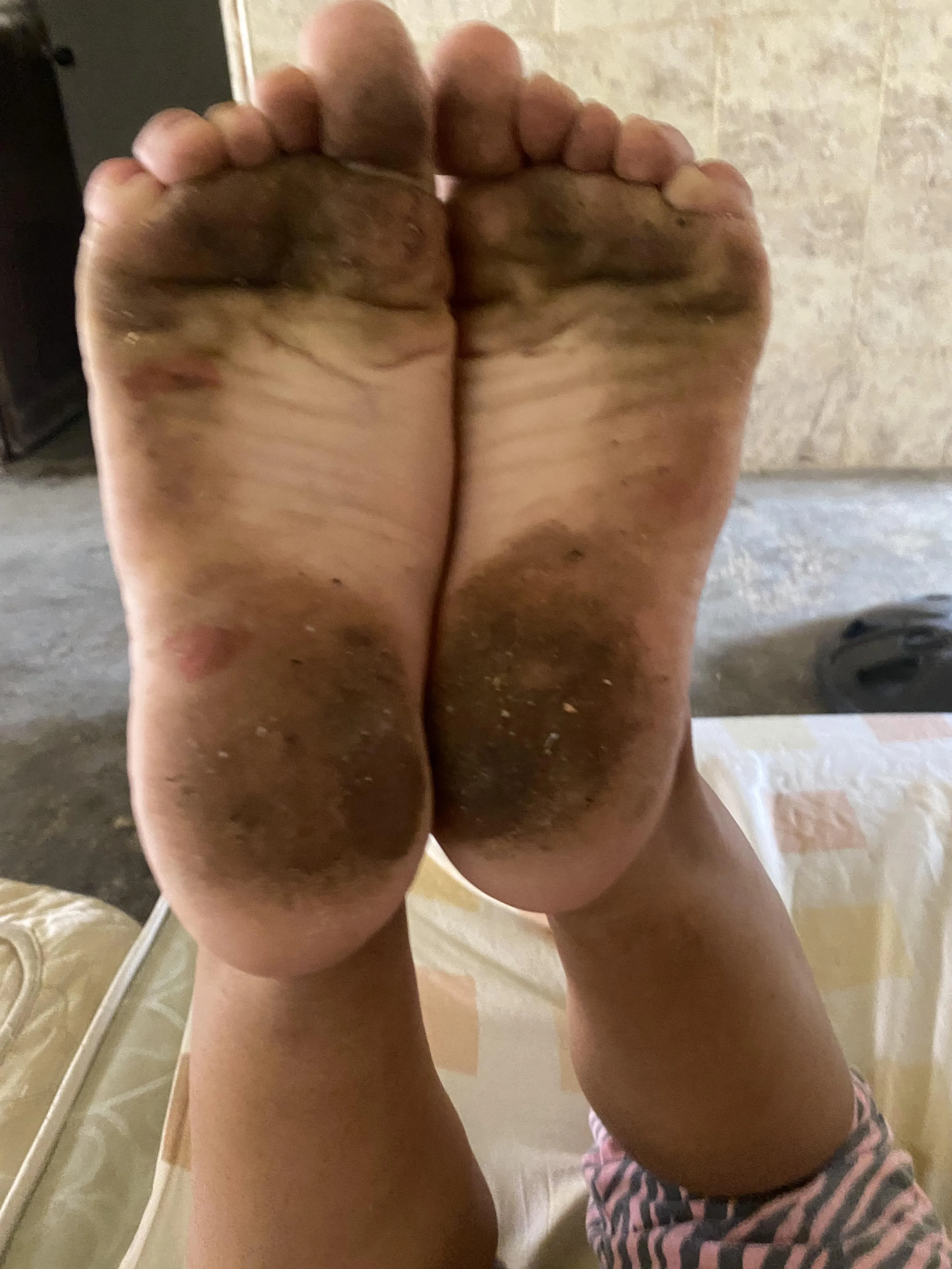 These babies want to rest on a cute and comfortable face