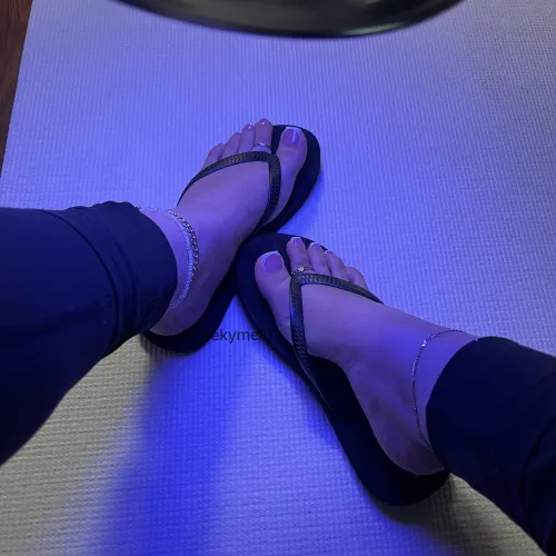 Where would you like them?