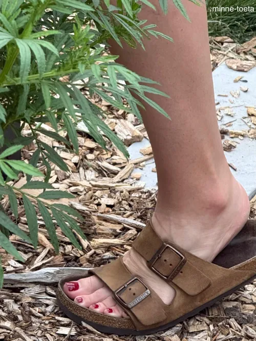 Birks On, Garden High—Calf Flex and Toe Stretch for the Big Pick!