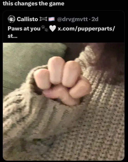 Game changing paws