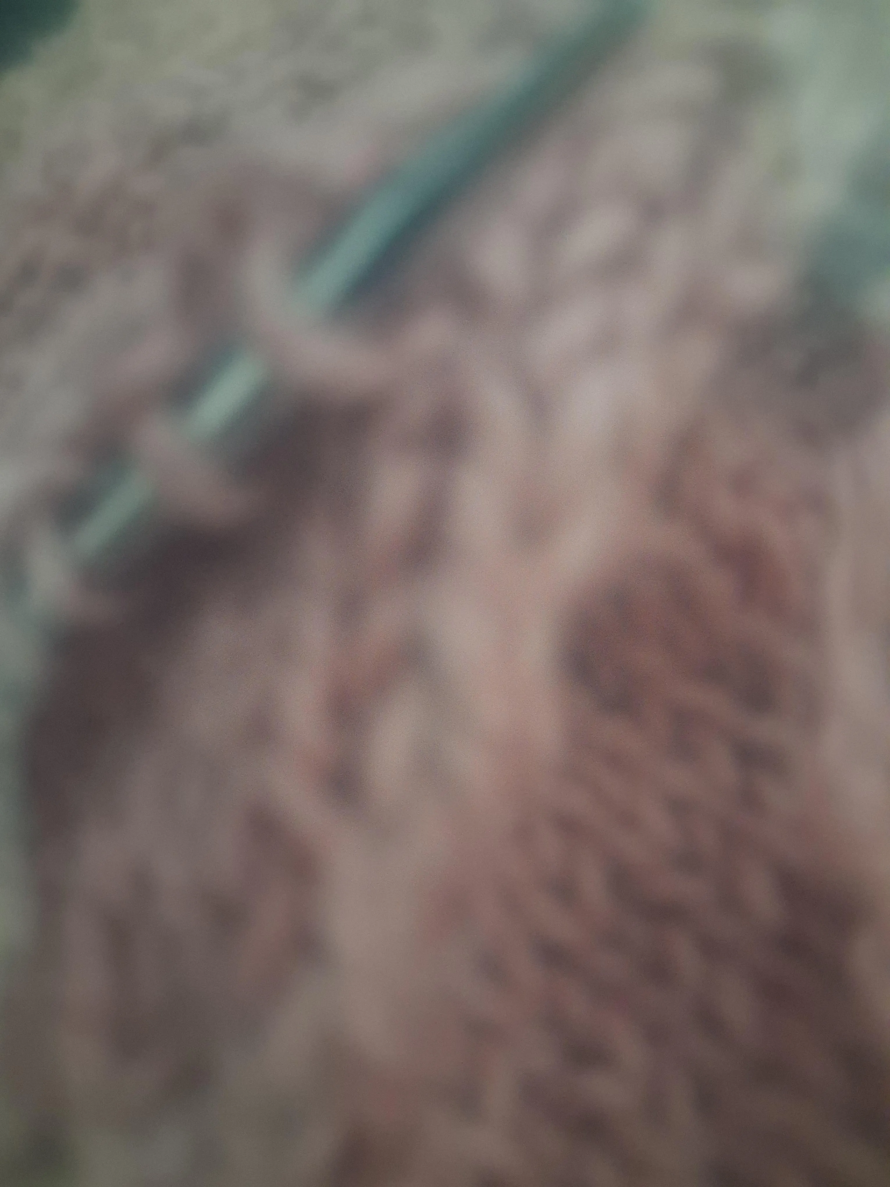 Help??? What am I doing wrong??