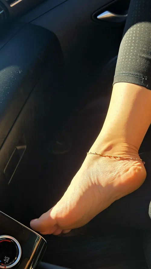 Wife's a beautiful passenger princess!