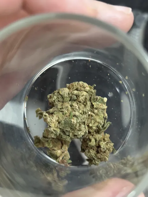 30/g florzinha com cheiro cítrico demais 🔥