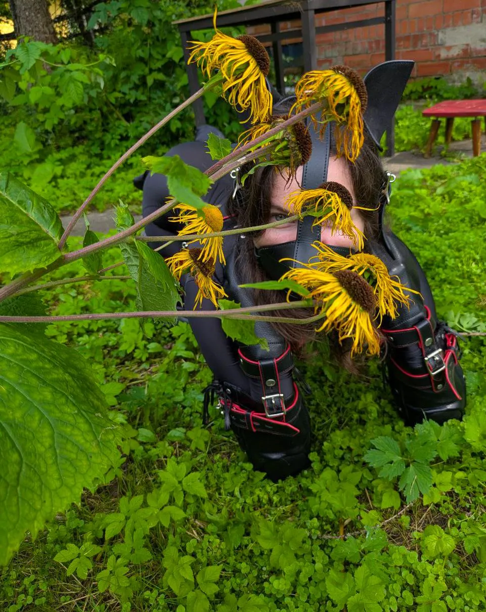 I'm hiding! Finally got to wear my suit outside: rolled in the grass, soaked up the sun, chased a ball around. So happy!