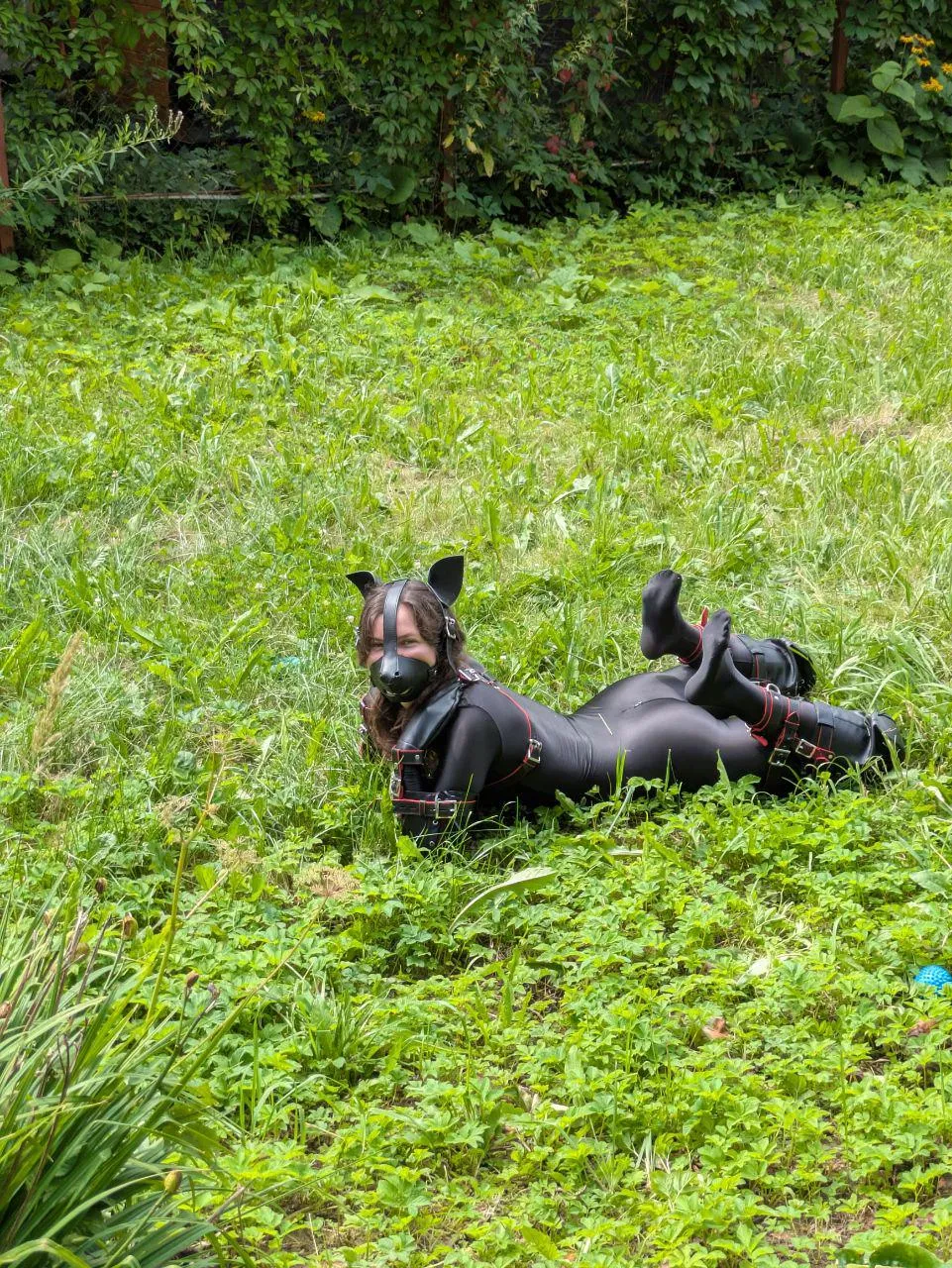 It’s pure joy for a puppy to lie in the grass under the warm sun 🐶🌞