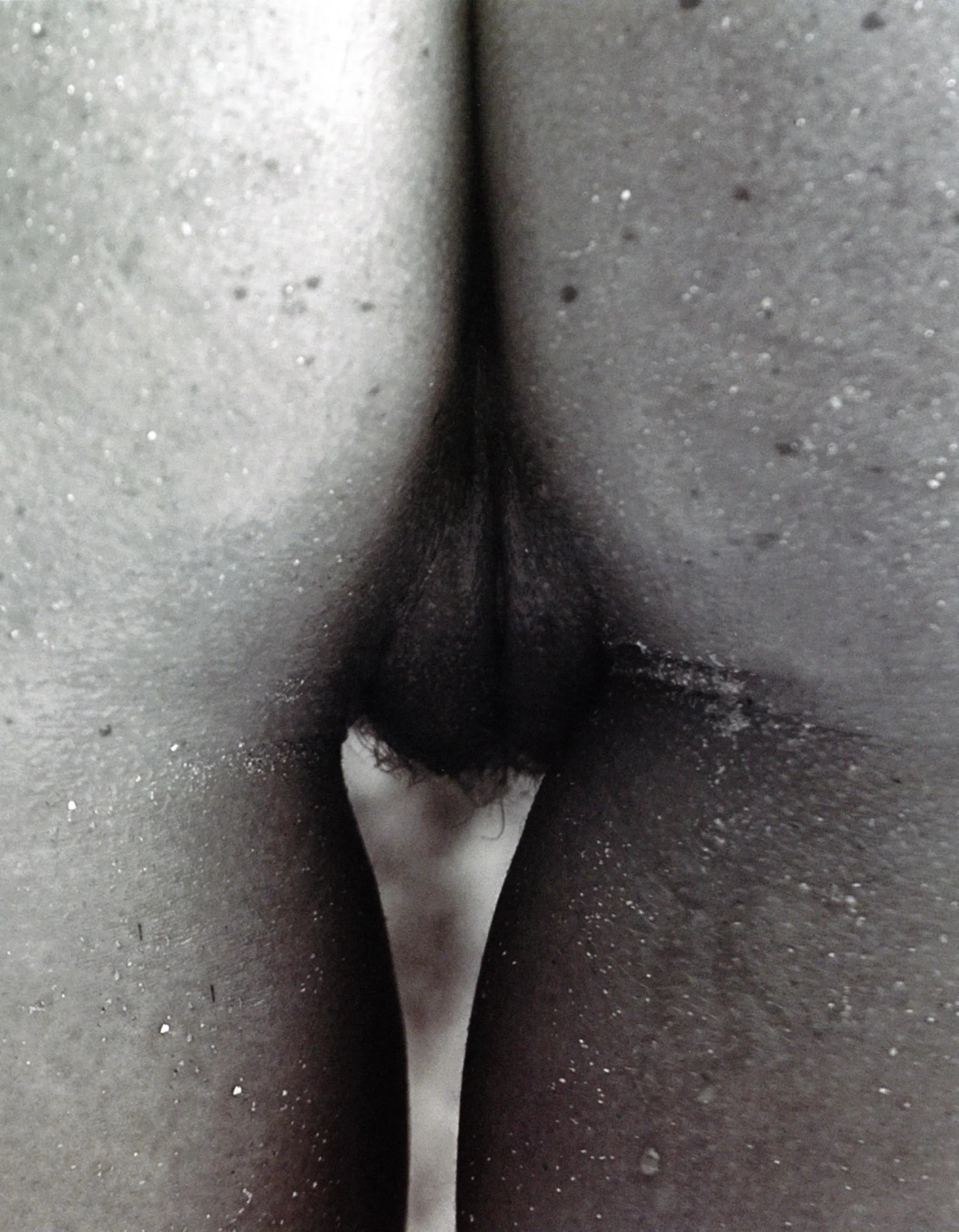 Julia Yaroshenko | in 