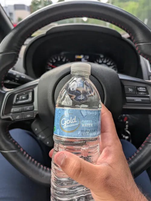 Amazing experience also she gave me kisses before I left as well