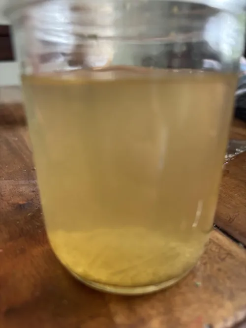 Good enough for a first timer?