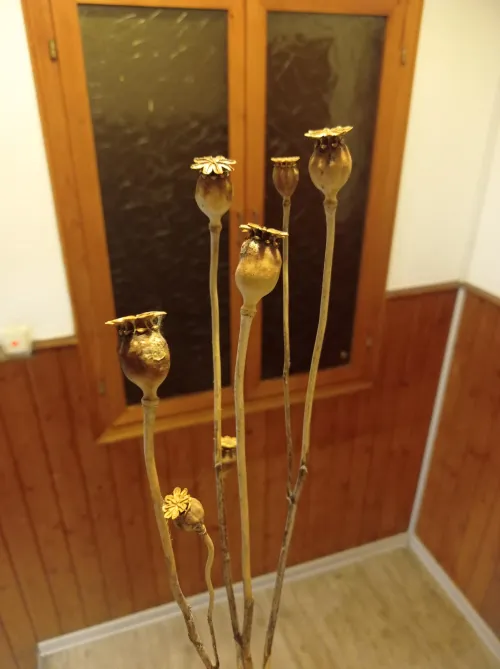 Is that enough for a tea?