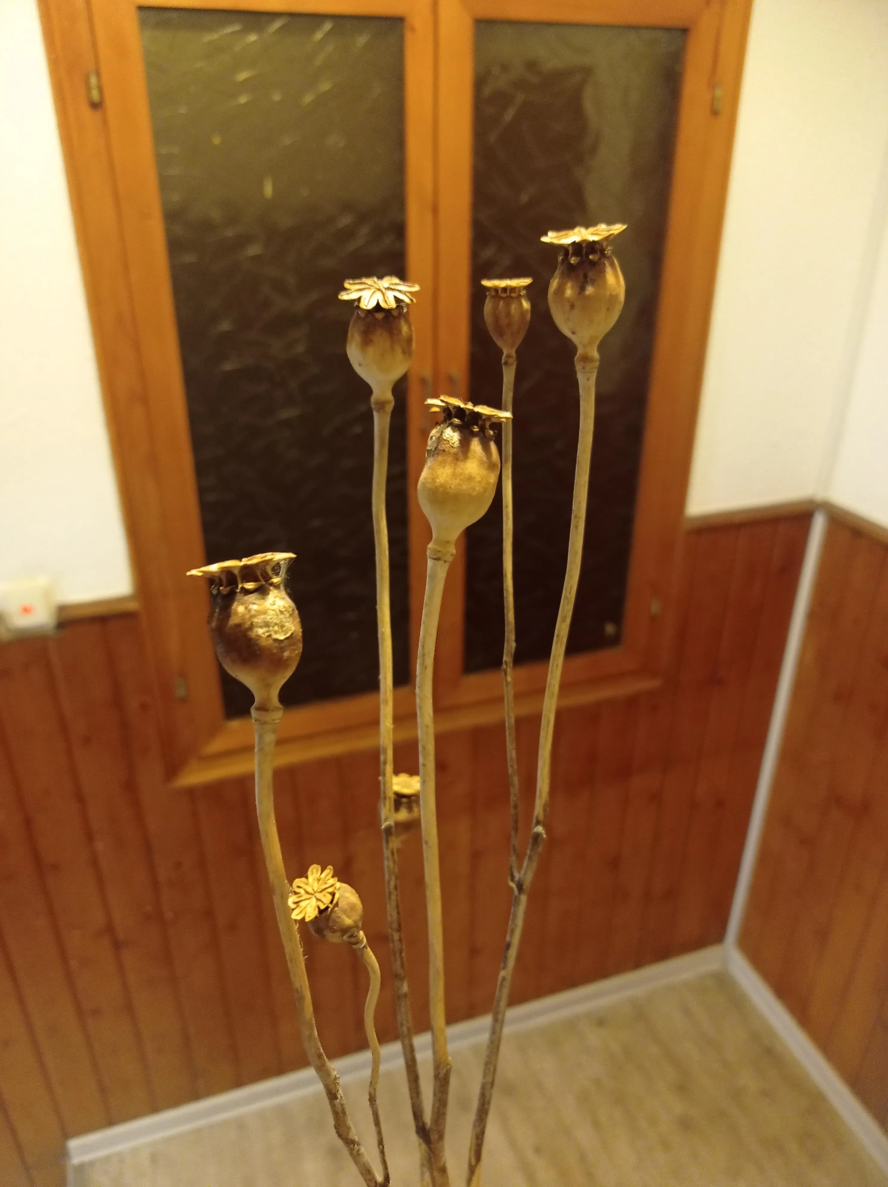 Is that enough for a tea?