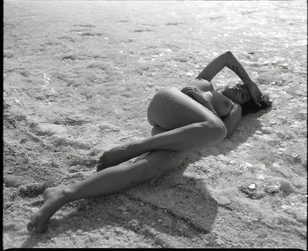 Mamiya rb67 fotopan S