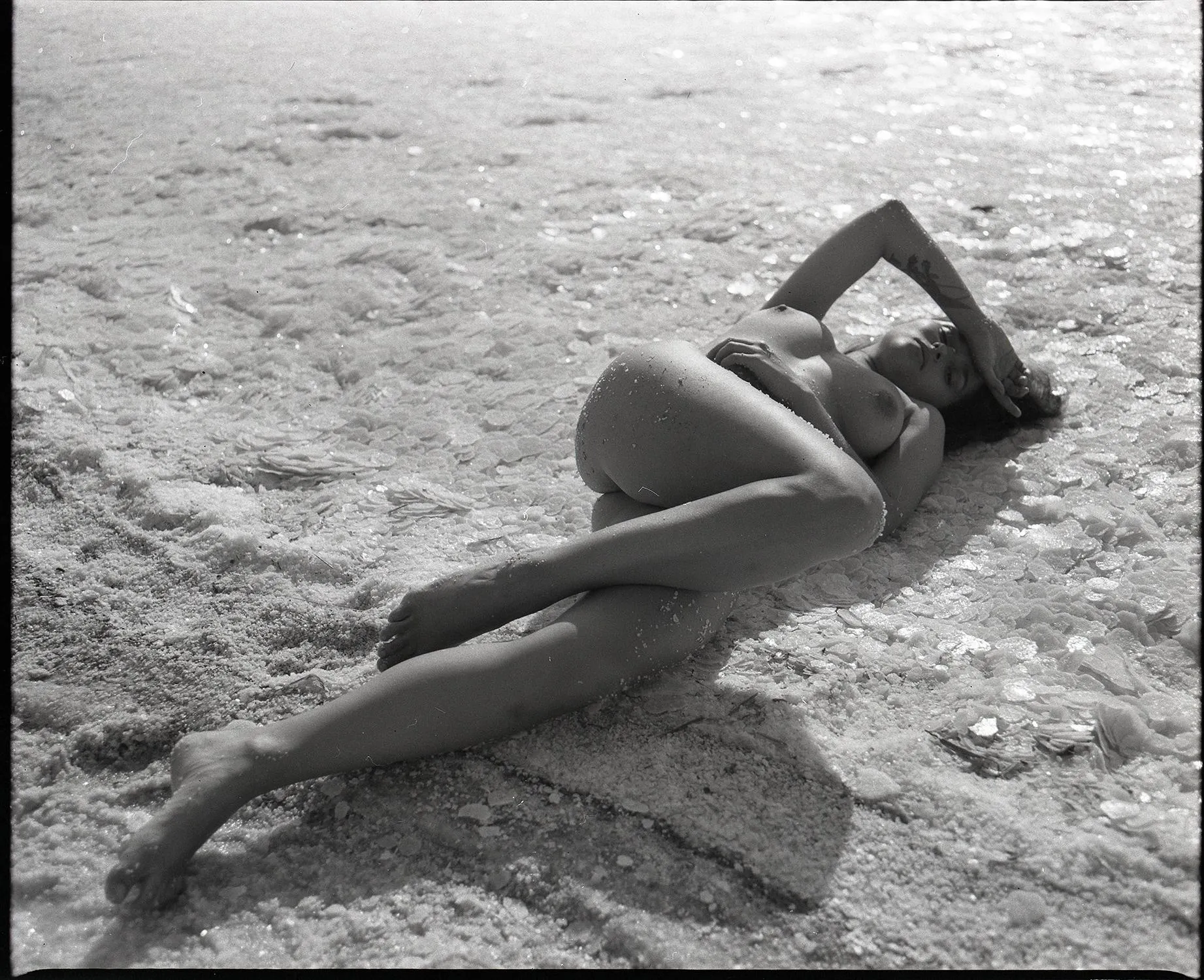 Mamiya rb67 fotopan S